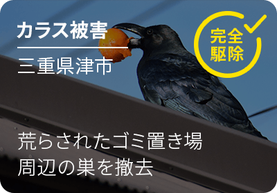 カラス被害 三重県津市 荒らされたゴミ置き場 周辺の巣を撤去 完全駆除！