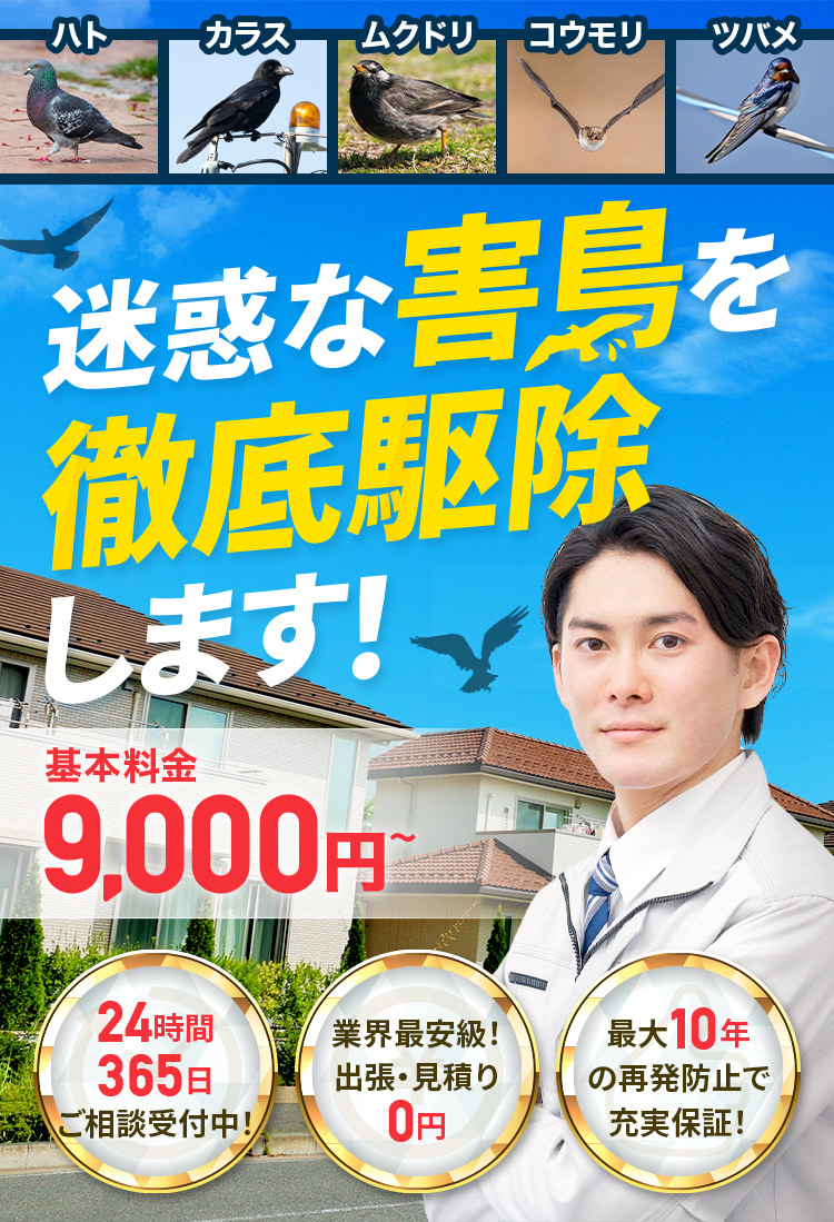 ハト・カラス・ムクドリ・コウモリ・ツバメ 迷惑な害鳥を徹底駆除します！基本料金9,000円～ 24時間365日ご相談受付中！ 業界最安級！出張・見積り0円 最大10年の再発防止で充実保証！