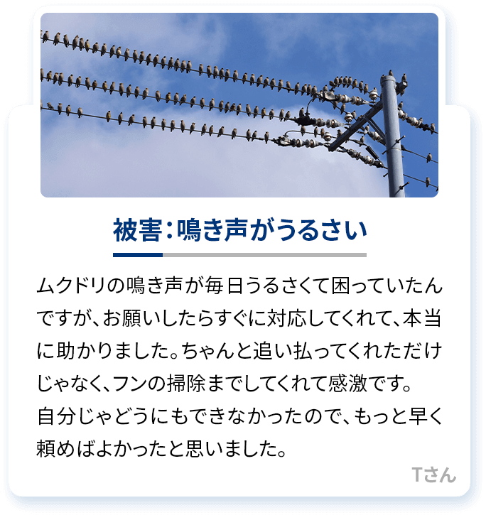 被害：鳴き声がうるさい ムクドリの鳴き声が毎日うるさくて困っていたんですが、お願いしたらすぐに対応してくれて、本当に助かりました。ちゃんと追い払ってくれただけじゃなく、フンの掃除までしてくれて感激です。自分じゃどうにもできなかったので、もっと早く頼めばよかったと思いました。 Tさん