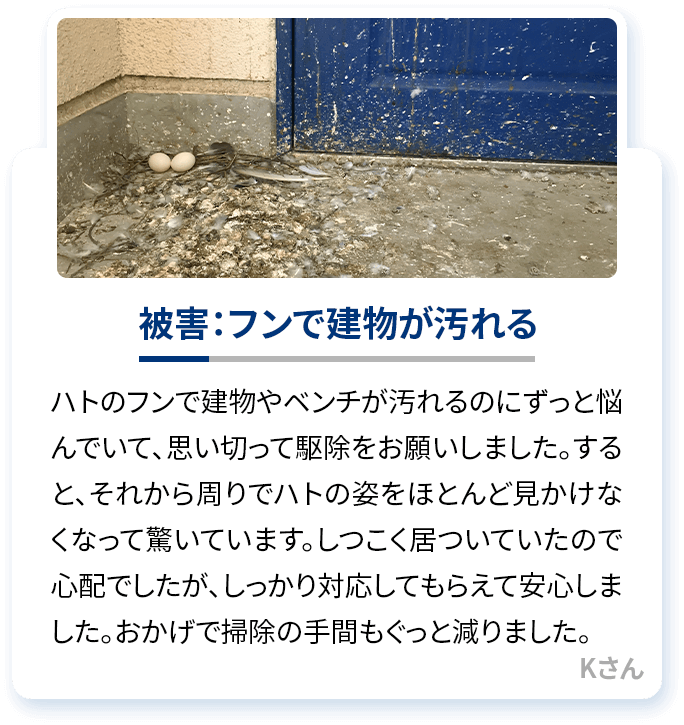 被害：フンで建物が汚れる ハトのフンで建物やベンチが汚れるのにずっと悩んでいて、思い切って駆除をお願いしました。すると、それから周りでハトの姿をほとんど見かけなくなって驚いています。しつこく居ついていたので心配でしたが、しっかり対応してもらえて安心しました。おかげで掃除の手間もぐっと減りました。Kさん