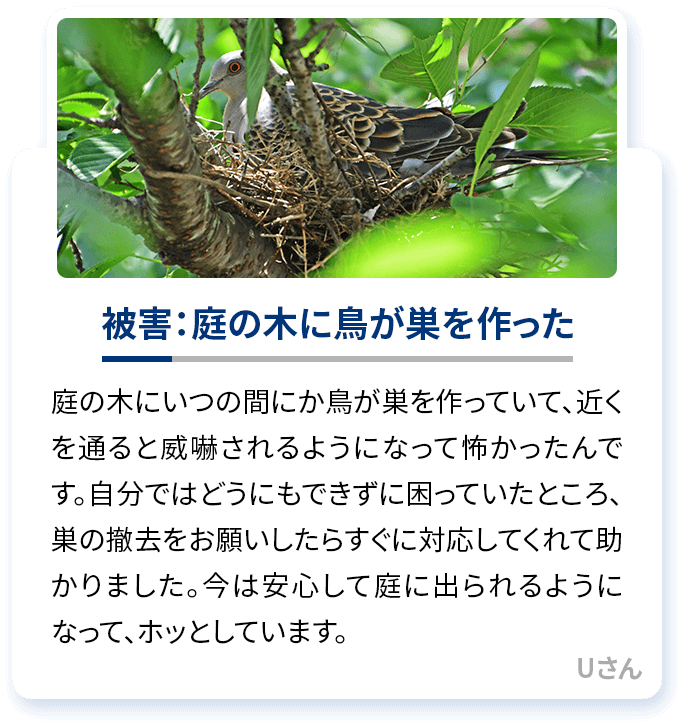 被害：庭の木に鳥が巣を作った 庭の木にいつの間にか鳥が巣を作っていて、近くを通ると威嚇されるようになって怖かったんです。自分ではどうにもできずに困っていたところ、巣の撤去をお願いしたらすぐに対応してくれて助かりました。今は安心して庭に出られるようになって、ホッとしています。Uさん